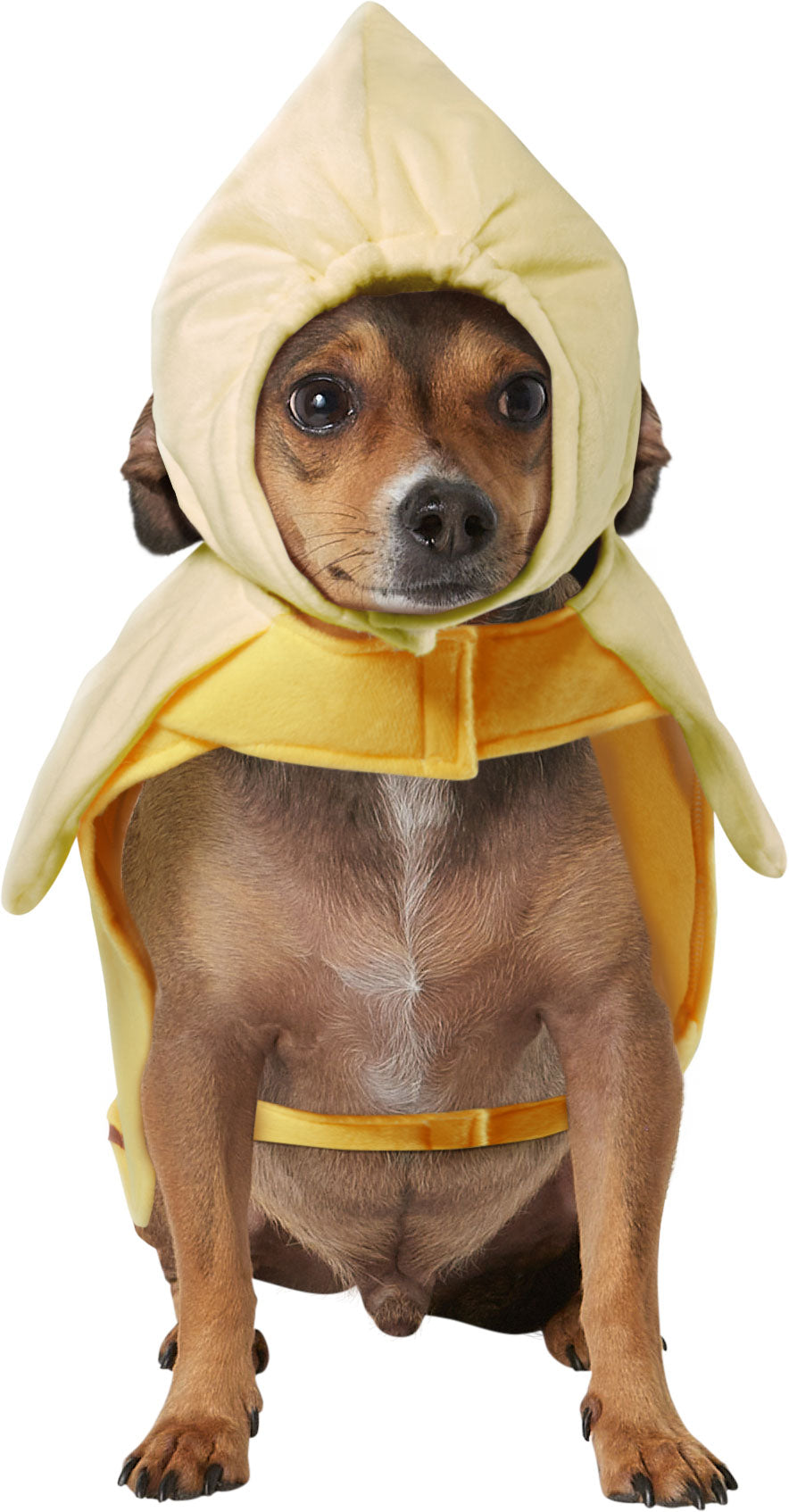 Banana Pet Costumes for Dogs or Cats