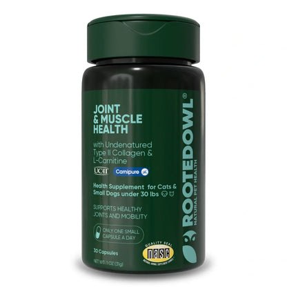Joint & Muscle Health