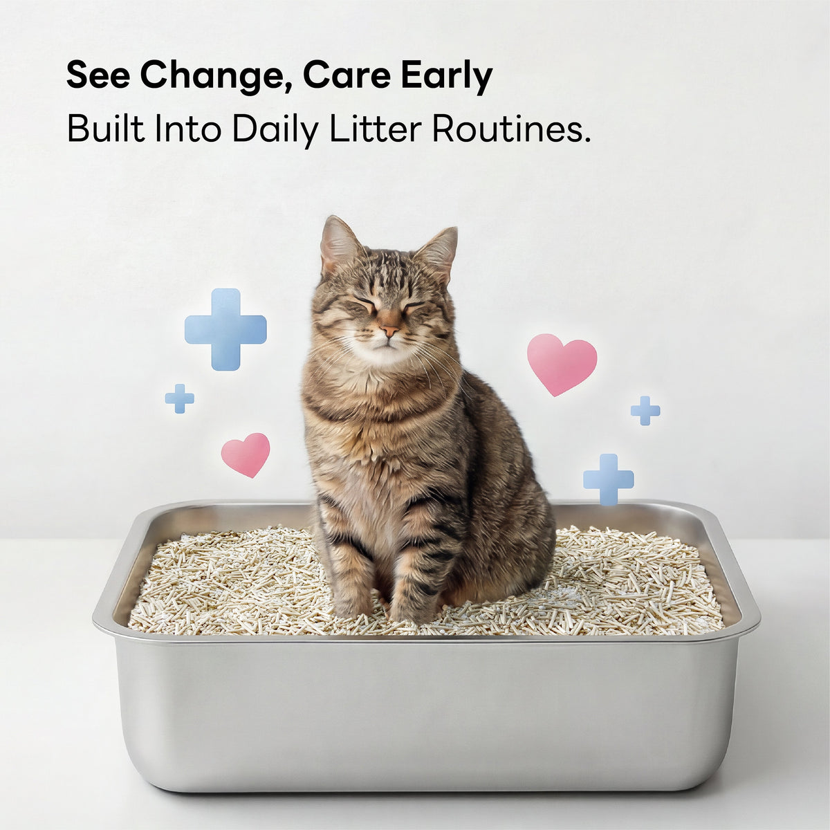 Purrify® Smart pH Insight Plant-Based Clumping Cat Litter
