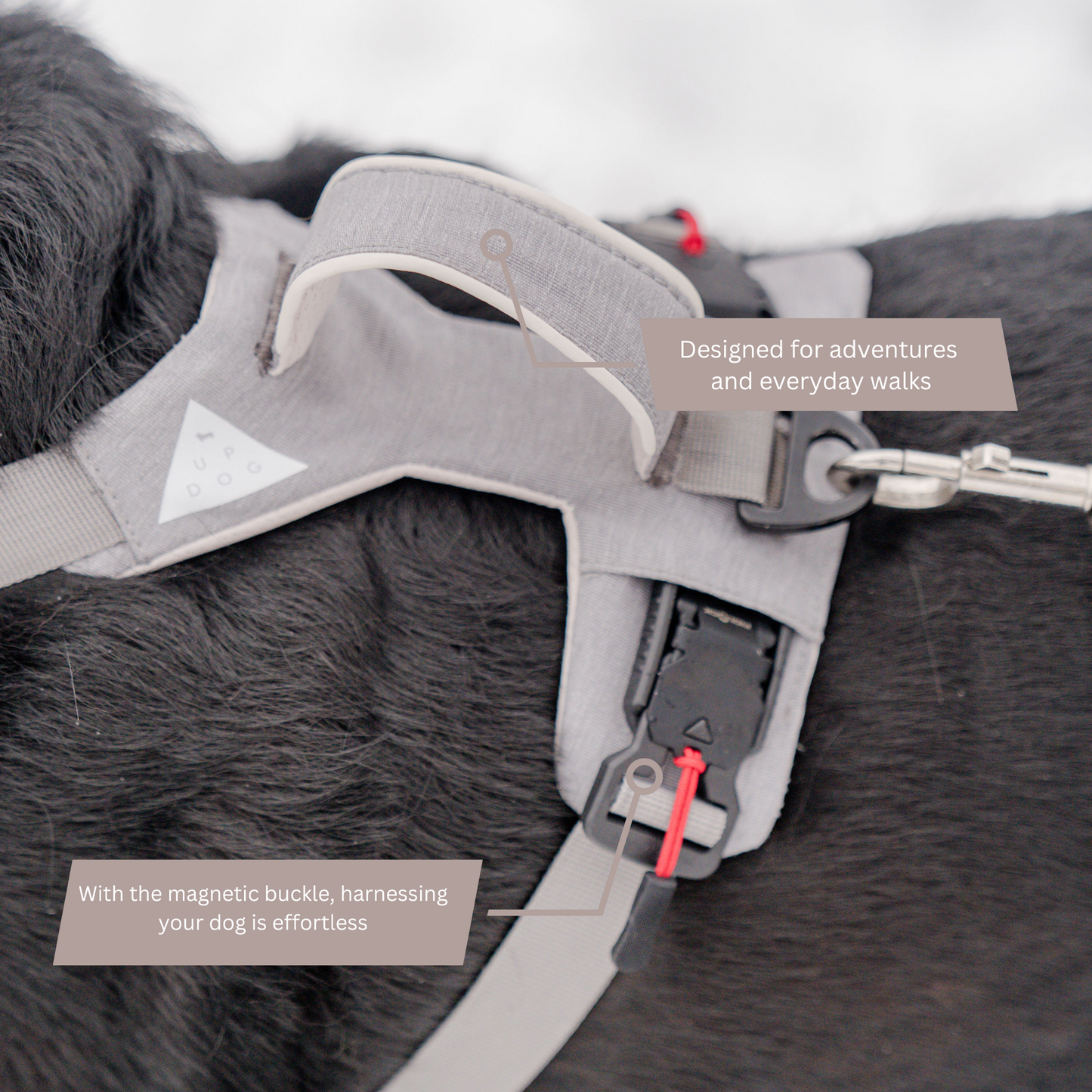 Magnetic Dog Harness with Handle - Easy On, No-Pull Design