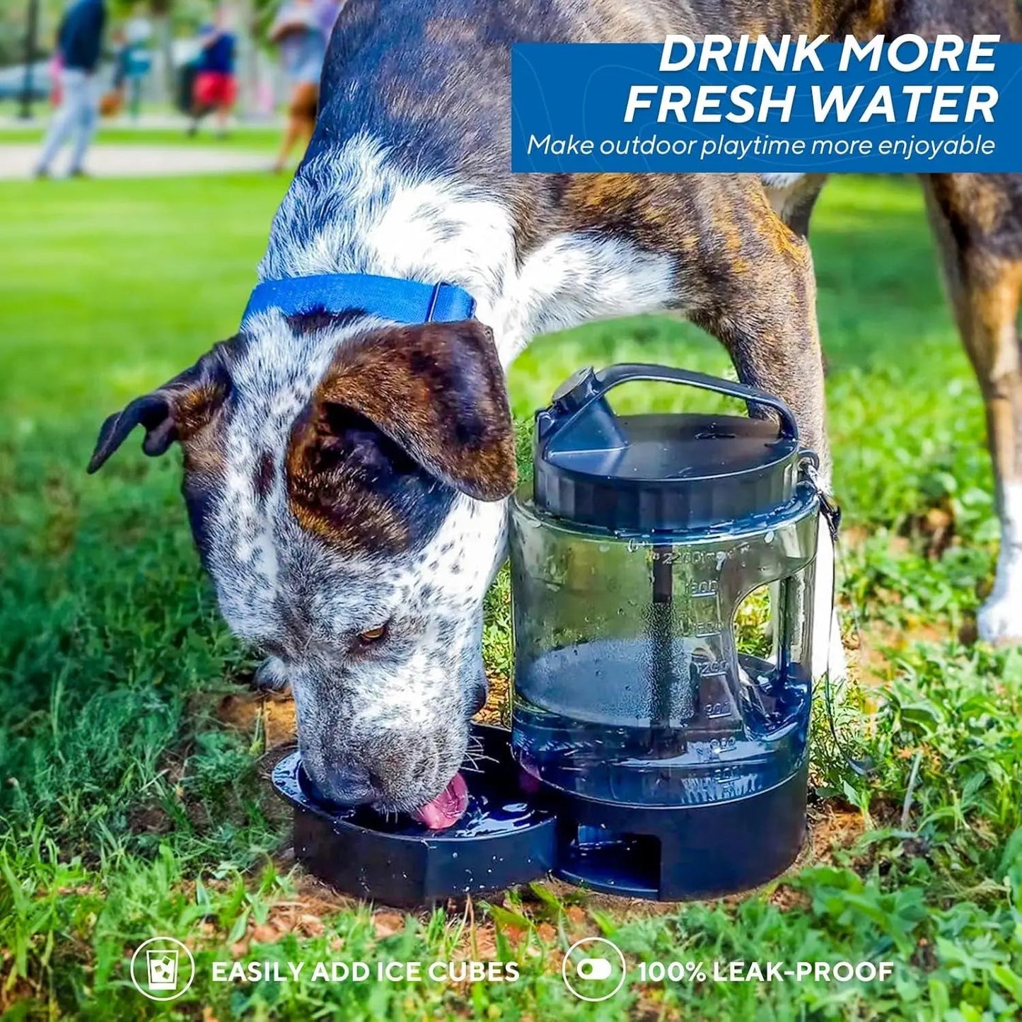 Portable Dog Travel Water Bottle Leak Proof Bowl for Hiking Large Dogs