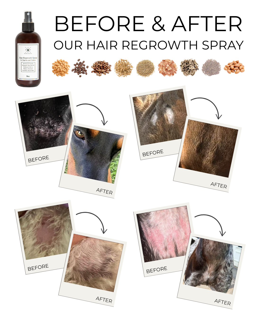 Hair Regrowth Spray for Dogs & Horses