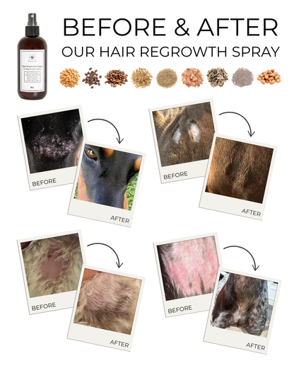 Hair Regrowth Spray for Dogs & Horses