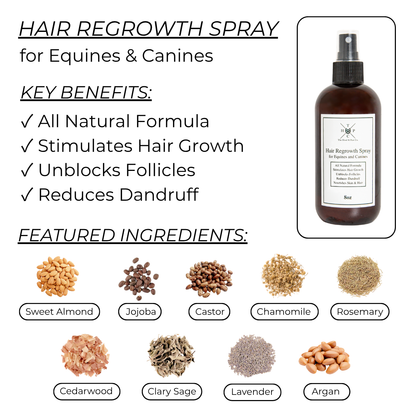 Hair Regrowth Spray for Dogs & Horses