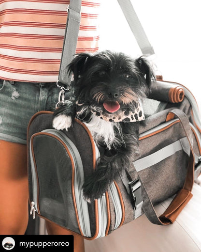 Mr. Peanut's Gold Series Big Apple XL Expandable Pet Carrier V2.0