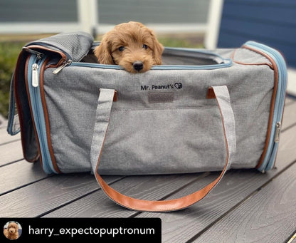 Mr. Peanut's Gold Series Big Apple XL Expandable Pet Carrier V2.0