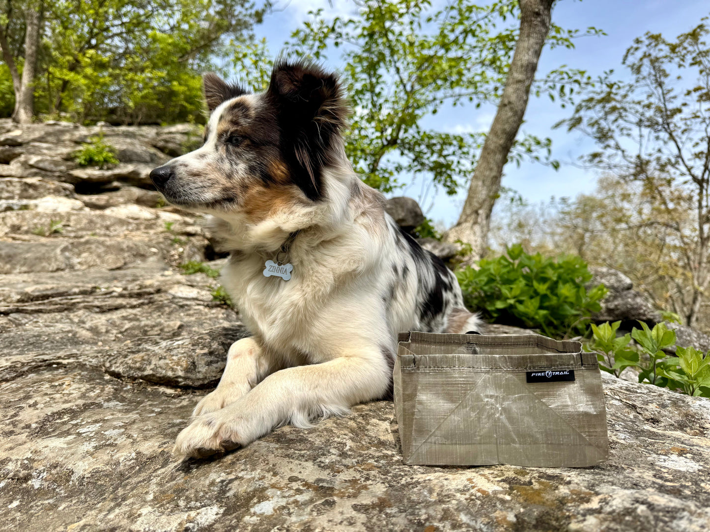 Pike Trail Dyneema Dog Bowl