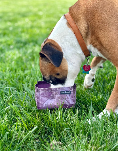 Pike Trail Dyneema Dog Bowl