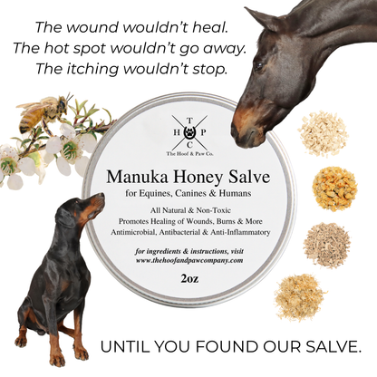 Manuka Honey Salve for Dogs, Horses & Humans