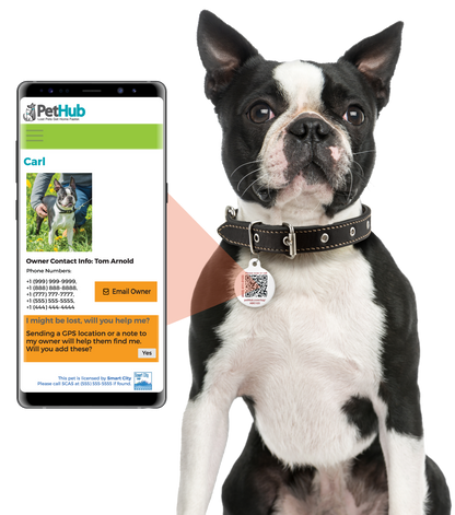 PetHub QR Pet ID Tag – Classic Aluminum