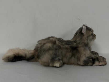 Plush American Tabby Cat Longhair-Handmade Life-Size Companion & Pet Memorial