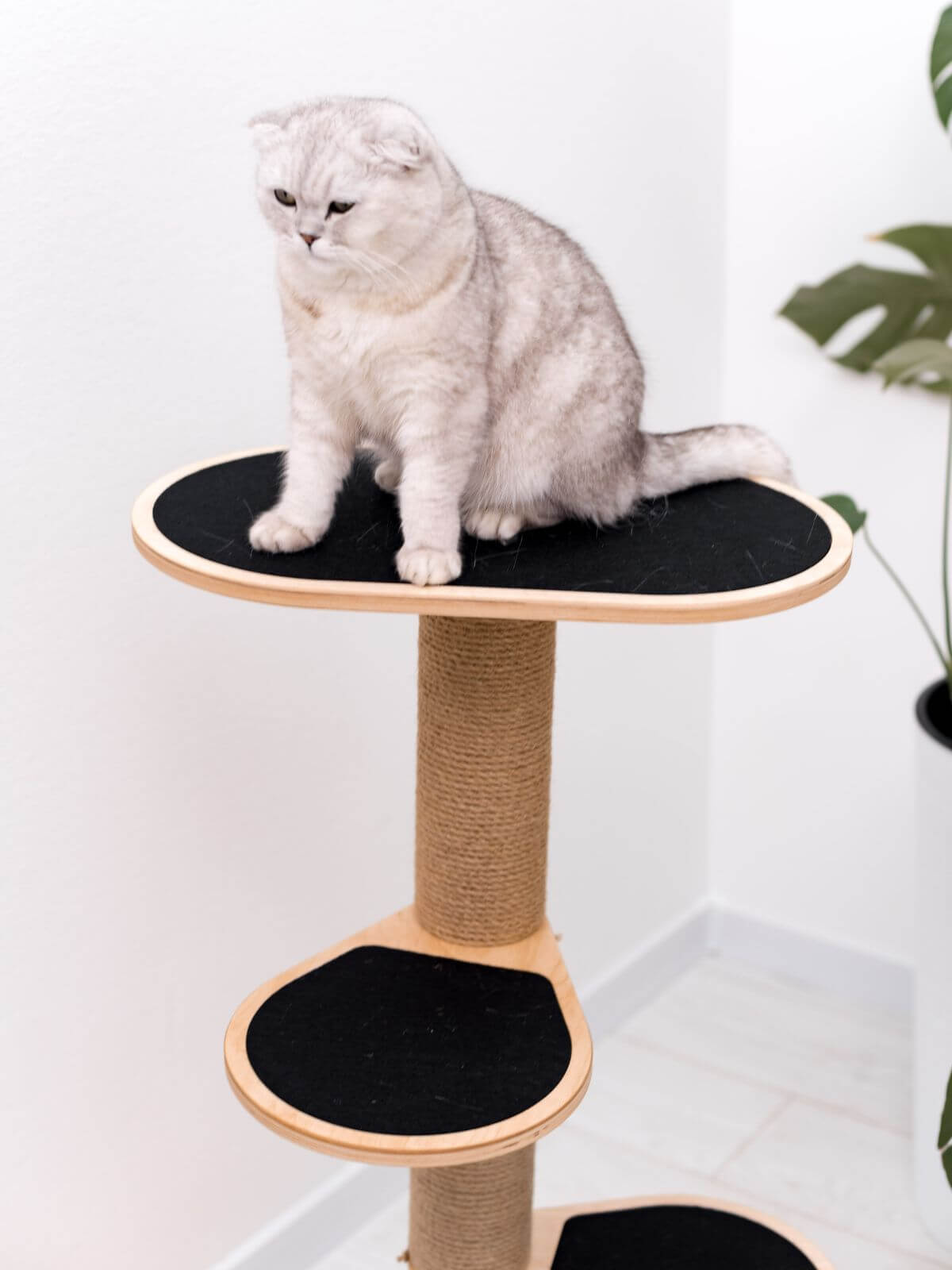 Small Cat Tower
