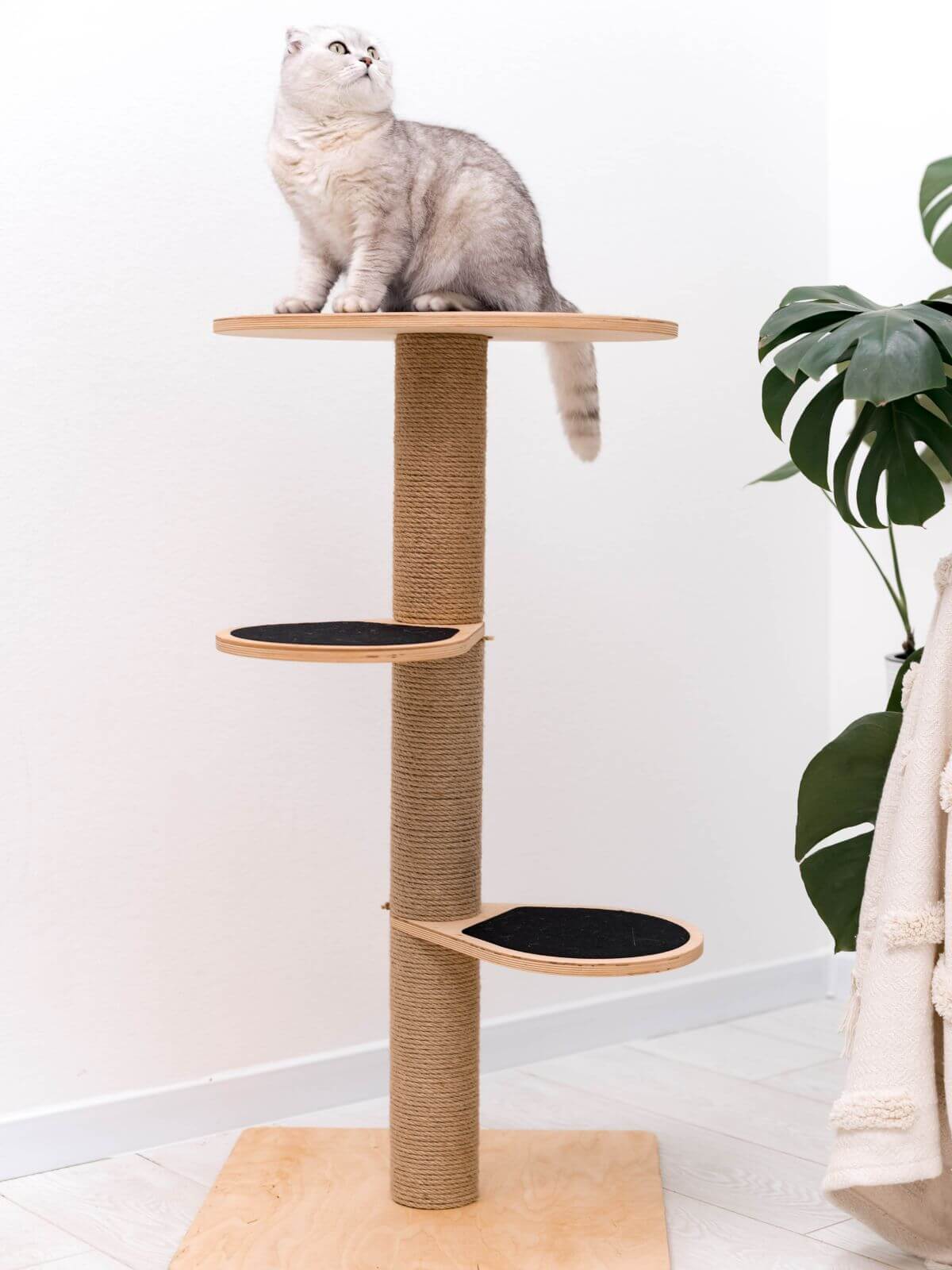 Small Cat Tower