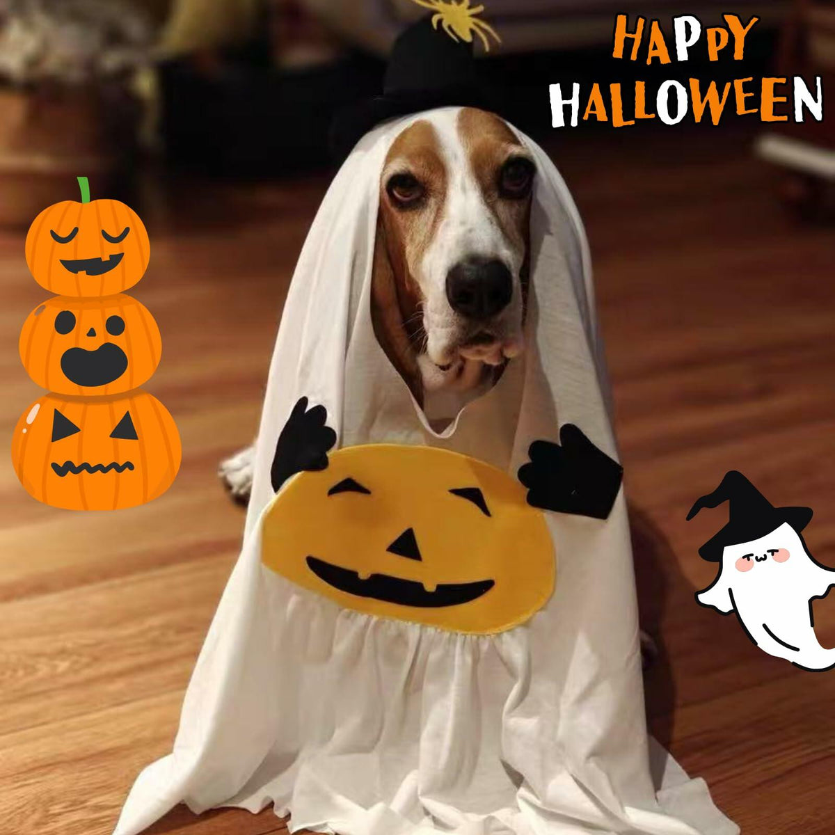 Dog Cat Halloween Pumpkin Ghost Costume Funny Cute Pet Outfit Medium