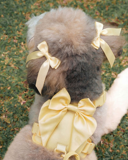 Wander! Bow Harness 2.0 - Buttercream
