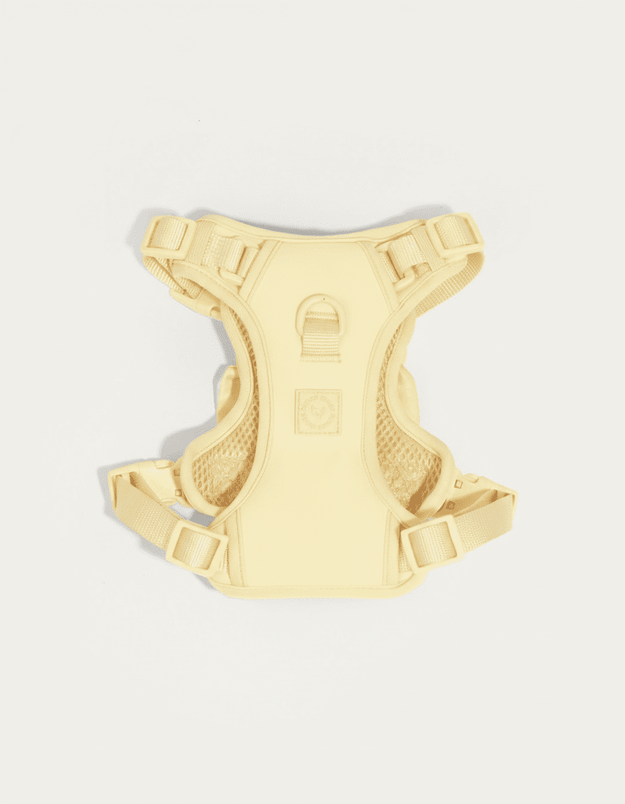 Wander! Bow Harness 2.0 - Buttercream