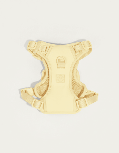 Wander! Bow Harness 2.0 - Buttercream