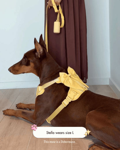 Wander! Bow Harness 2.0 - Buttercream