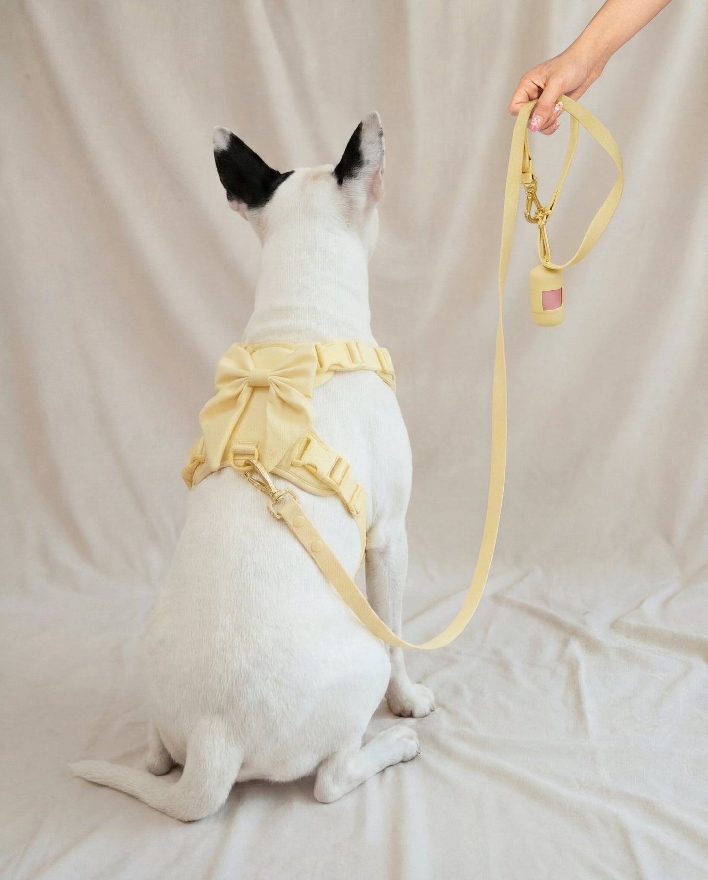 Wander! Bow Harness 2.0 - Buttercream
