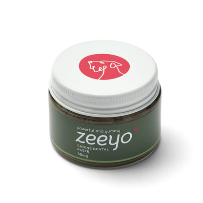 Zeeyo dog toothpaste and toothbrush set
